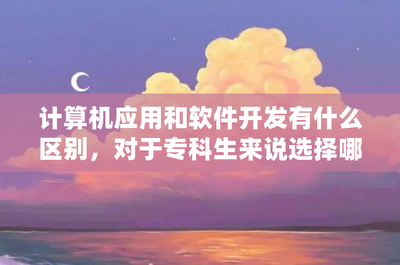 計算機軟件開發與應用 ?？粕穆殬I選擇與發展前景分析