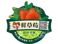 南京傅家邊老朱精品草莓園 采摘、農家樂與田園時光的完美攻略